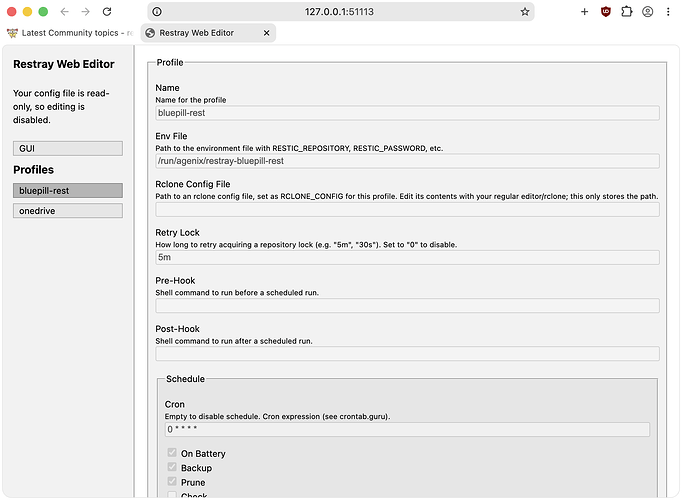A screenshot of restray's web config editor