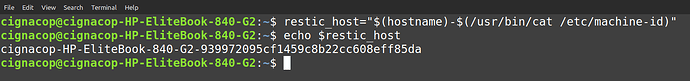 restic-backup-documentation_html_21a0fe0c8f6d1d1d